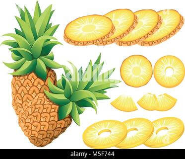 Ananas und Scheiben Ananas. Vector Illustration von Ananas. Vector Illustration für dekorative Poster, Emblem Naturprodukt, Landwirte ma Stock Vektor