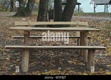 Picknickplatz mit Holzbänken und Tisch in der Mitte des Waldes Stockfoto