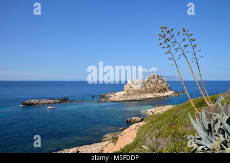 Agave vor Il Faraglione, Levanzo, Ägadischen Inseln, Sizilien, Italien Stockfoto