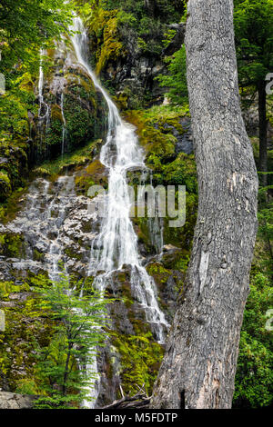 Wasserfall in der Nähe von Reserva Provincial Lago del Desierto; Rio del Vuetas, Patagonien, Argentinien Stockfoto