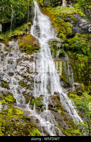 Wasserfall in der Nähe von Reserva Provincial Lago del Desierto; Rio del Vuetas, Patagonien, Argentinien Stockfoto