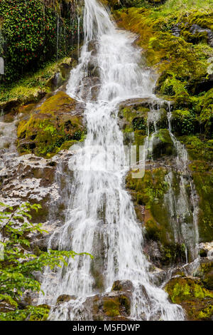 Wasserfall in der Nähe von Reserva Provincial Lago del Desierto; Rio del Vuetas, Patagonien, Argentinien Stockfoto