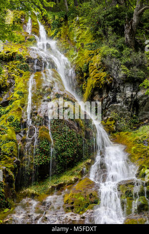 Wasserfall in der Nähe von Reserva Provincial Lago del Desierto; Rio del Vuetas, Patagonien, Argentinien Stockfoto