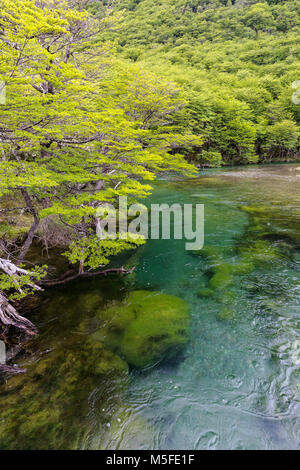 Klar Gletscherwasser; Rio del Vuetas; in der Nähe von Reserva Provincial Lago del Desierto, Patagonien, Argentinien Stockfoto