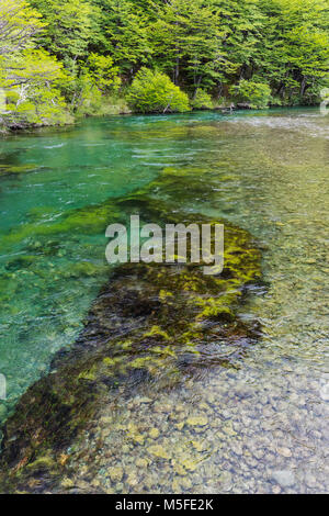 Klar Gletscherwasser; Rio del Vuetas; in der Nähe von Reserva Provincial Lago del Desierto, Patagonien, Argentinien Stockfoto