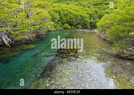 Klar Gletscherwasser; Rio del Vuetas; in der Nähe von Reserva Provincial Lago del Desierto, Patagonien, Argentinien Stockfoto