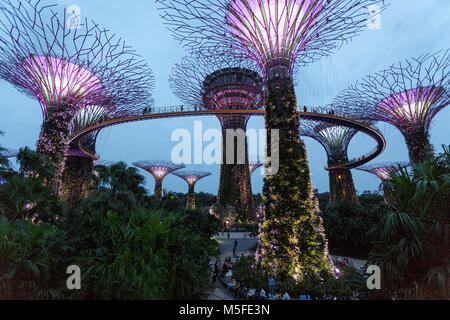 Supertree Grove in Gärten durch die Bucht bei Nacht, Singapur Stockfoto