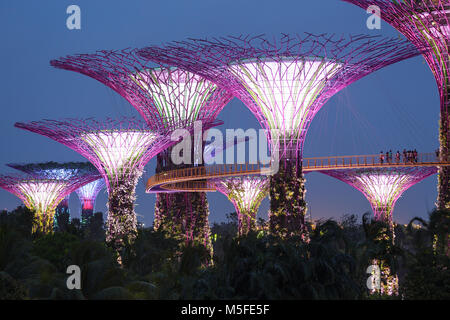 Supertree Grove in Gärten durch die Bucht bei Nacht, Singapur Stockfoto