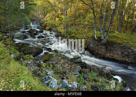 Wasserfall und Herbst Farbe im Glen Affric, Highland, Schottland, Großbritannien Stockfoto