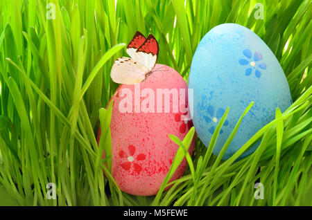 Bemalte Ostereier in ein grünes Gras auf einer Wiese. Frohe Ostern. Stockfoto