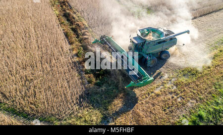 Luftaufnahme von Mähdrescher fahren durch Reihen von Sojabohnen und kicking up dust, Maryland Stockfoto