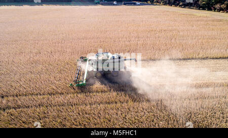 Luftaufnahme von Mähdrescher fahren durch Reihen von Sojabohnen und kicking up dust, Maryland Stockfoto