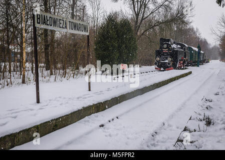 TKt 48 Dampflok auf Bialowieza Das Towarowa ehemaliger Bahnhof in Bialowieza Dorf in der Mitte von Bialowieza Forest, Polen Stockfoto