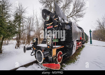 TKt 48 Dampflok auf Bialowieza Das Towarowa ehemaliger Bahnhof in Bialowieza Dorf in der Mitte von Bialowieza Forest, Polen Stockfoto