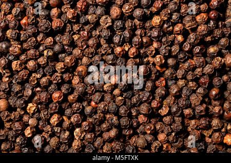 Getrocknet schwarzer Pfeffer Körner Haufen, eine Sicht von oben closeup Foto auf der Oberfläche der trockenen schwarzer Pfeffer Körner Stapel ein Detail der Textur von schwarzer Pfeffer Körner o vorhanden Stockfoto
