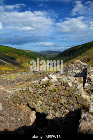 Meine Gebäude aus dem Jahre 1790 in der Glendalough Valley, wo Blei, Zink und Silber abgebaut wurden, County Wicklow, Irland ruiniert Stockfoto