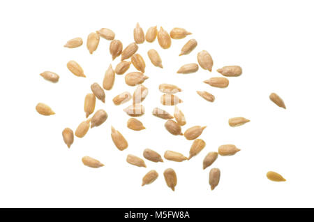 Isolieren, geschälte Sonnenblumenkerne, geschält isolieren Sun Flower Seeds, eine Sicht von oben Nahaufnahme foto Bild der Gruppe der geschälte Sonnenblumenkerne isolieren auf einem Brig Stockfoto
