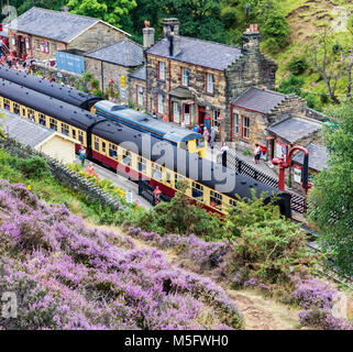 Züge in Goathland station Stockfoto