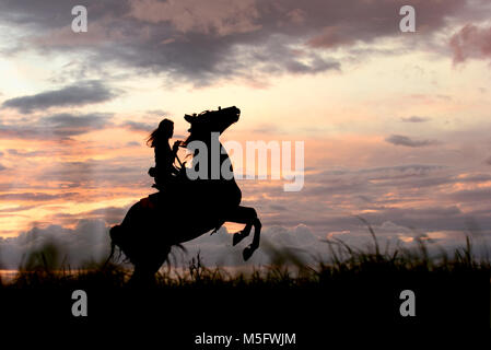 Pferd auf Peak Aufzucht und Fliegen zu den Wolken. Glückliches Mädchen reiten ein Hengst ständigen Hinterbeine auf der Horizontlinie. Sonnenuntergang Hintergrund Stockfoto