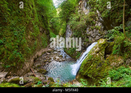 Ventilator Wasserfall auf galbena Schlucht in Rumänien Stockfoto