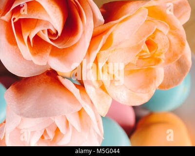 Schöne sanfte Rose für die Einrichtung von Desserts und Kuchen auf einem Hintergrund von hellen Macarons erstellt Stockfoto