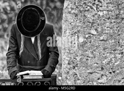 Orthodoxen Jüdischen betet, Juden, Judentum, Chassidim, BW Stockfoto