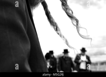 Orthodoxen Jüdischen betet, Juden, Judentum, Chassidim, BW Stockfoto