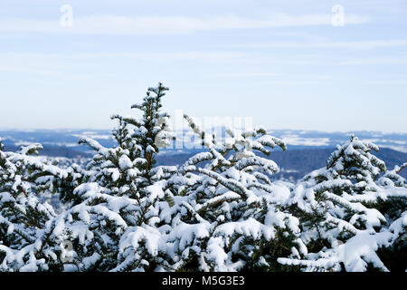 Winterlandschaft. Blick von oben auf dem Uetliberg in Zürich, Schweiz. Stockfoto