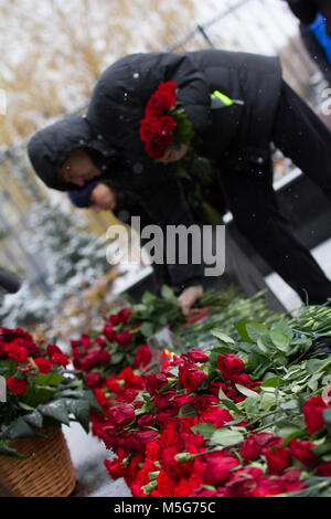 Nelke Symbol der Trauer - Blumen zum Denkmal Stockfoto