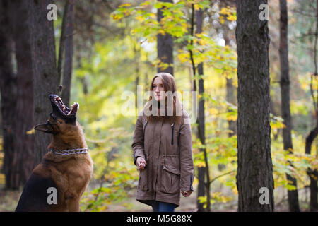 Junge hübsche Frau spielen mit Deutscher Schäferhund draussen im Wald, in der Nähe Stockfoto