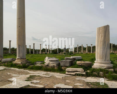 Zeilen dorischen Säulen des Gymnasiums in der antiken römischen Stadt Salamis Famagusta Türkische Republik Nordzypern ausgegraben colonnaded Palaestra Stockfoto