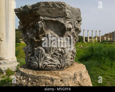 Dekoration auf Broken Column ausgegrabenen antiken römischen Stadt Salamis Famagusta Türkische Republik Nordzypern im Gymnasium monumentale Teil der Site Stockfoto