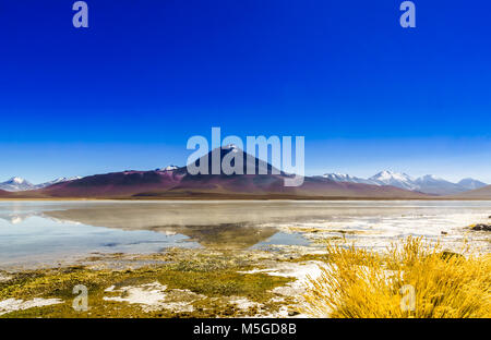 Blick auf die Laguna Blanca im Altiplano von Bolivien Stockfoto