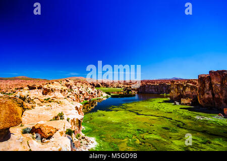 Blick auf schwarze Lagune im Altiplano von Bolivien Stockfoto