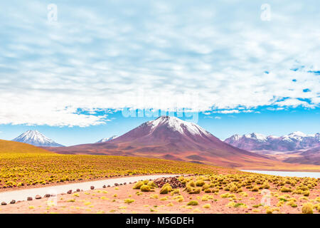 Blick auf die Lagune Miscanti und Vulkan Licancabur im Altiplano Chile Stockfoto