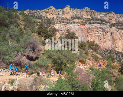 Bright Angel Trail Grand Canyon - Meile und-ein-halb Haus mit Wasser zur Verfügung (vorbehaltlich der Pipeline Pausen) zwischen Mai und September, und Toiletten, Meile und-ein-halb Resthouse ist ein beliebter Tag Wanderung auf dem Bright Angel Trail. Rundreise ist 3 Meilen (4,8 km) und dauert zwischen 2 und 4 Stunden. Die Änderung in der Erhebung vom South Rim Dorf ist von 1.131 Fuß (345 m) von 1,6 km und eine halbe Resthouse, suchen wir im Coconino Sandstein Mauer und dem Kaibab limestone Schicht, wo der Trail beginnt. Stockfoto