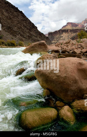 Grand Canyon Einsiedler schnellen Einsiedler Rapid ist ein Liebling der Fluss Läufer, weil es so groß ist. Diese schnelle kann auch leicht durch die historischen Einsiedler Trail erreicht werden. Stockfoto