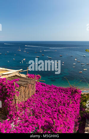 Positano durch rosafarbene Bougainvillea und Boote im Hintergrund eingerahmt. Bunte Positano, das Juwel der Amalfi Küste, mit seinen bunten Häusern und Stockfoto
