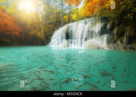 Erawan Wasserfall, schönen Wasserfall im Regenwald, Provinz Kanchanaburi, Thailand Stockfoto