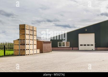 Niederländische Obst farm Betuwe Netherland Stockfoto