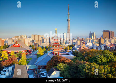 Tokio. Stadtbild der Skyline von Tokio während des Herbstuntergangs in Japan. Stockfoto