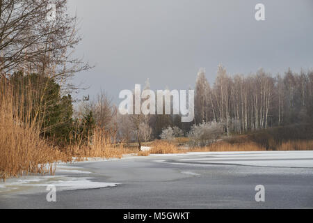 White Frost bedeckt Bäume im Winter Landschaft gegen bewölkter Himmel Stockfoto