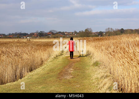 Snape Maltings, Suffolk. 23 Feb, 2018. UK Wetter: eine Dame in einem roten Mantel mit einem hellen, sonnigen Nachmittag an Snape Maltings, Suffolk. Stockfoto