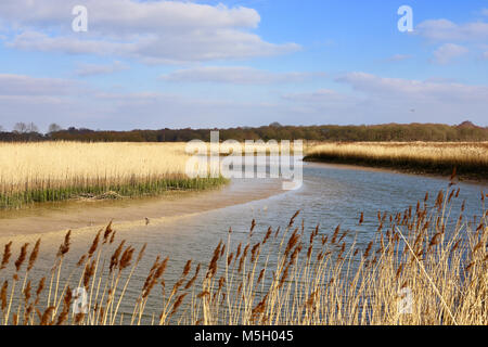 Snape Maltings, Suffolk. 23 Feb, 2018. UK Wetter: hellen, sonnigen Nachmittag an Snape Maltings, Suffolk. Credit: Angela Chalmers/Alamy leben Nachrichten Stockfoto