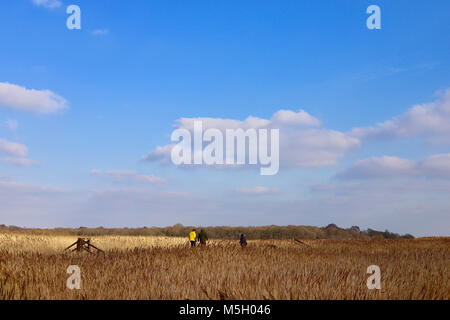 Snape Maltings, Suffolk. 23 Feb, 2018. UK Wetter: Wanderer geniessen Sie einen sonnigen Nachmittag auf Snape Maltings, Suffolk. Stockfoto