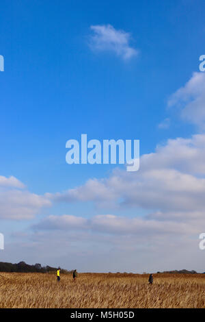 Snape Maltings, Suffolk. 23 Feb, 2018. UK Wetter: Wanderer eine große Suffolk Himmel genießen Sie an einem hellen, sonnigen Nachmittag an Snape Maltings, Suffolk. Stockfoto