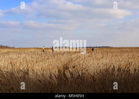 Snape Maltings, Suffolk. 23 Feb, 2018. UK Wetter: Wanderer auf einem hellen, sonnigen Nachmittag an Snape Maltings, Suffolk. Stockfoto