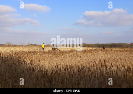 Snape Maltings, Suffolk. 23 Feb, 2018. UK Wetter: Wanderer auf einem hellen, sonnigen Nachmittag an Snape Maltings, Suffolk. Stockfoto