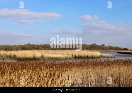 Snape Maltings, Suffolk. 23 Feb, 2018. UK Wetter: hellen, sonnigen Nachmittag an Snape Maltings, Suffolk. Credit: Angela Chalmers/Alamy leben Nachrichten Stockfoto