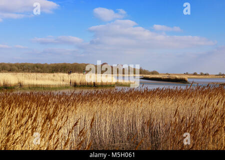 Snape Maltings, Suffolk. 23 Feb, 2018. UK Wetter: hellen, sonnigen Nachmittag an Snape Maltings, Suffolk. Credit: Angela Chalmers/Alamy leben Nachrichten Stockfoto